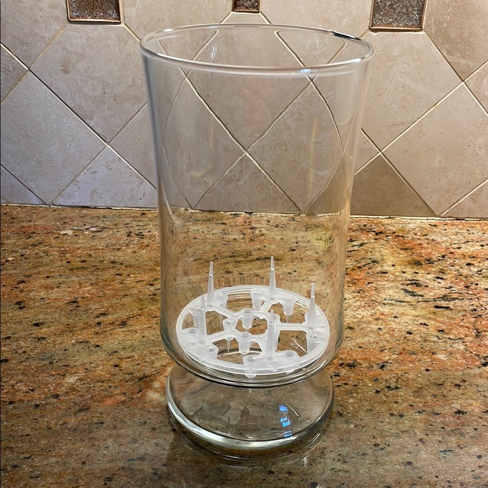 Elegant Clear Glass Vase for bulbs